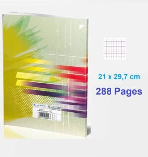 L_Cahier A4 288p Petits Careaux